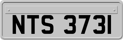 NTS3731