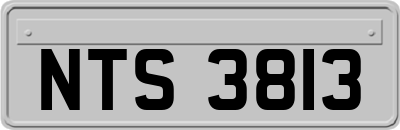 NTS3813