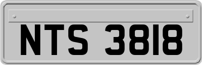 NTS3818
