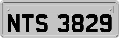 NTS3829