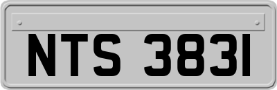 NTS3831