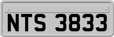 NTS3833