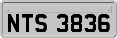 NTS3836