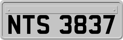 NTS3837