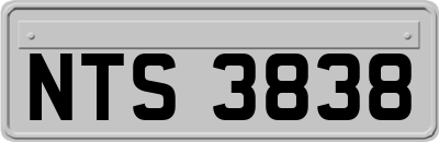 NTS3838