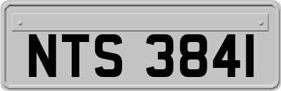 NTS3841