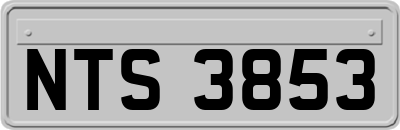 NTS3853