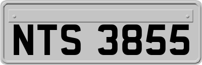 NTS3855