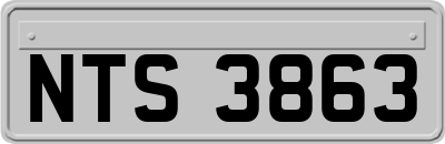 NTS3863