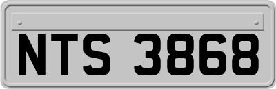 NTS3868