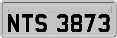 NTS3873