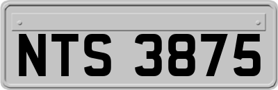 NTS3875