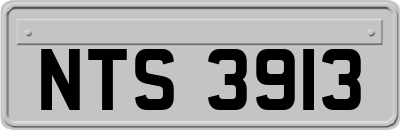 NTS3913