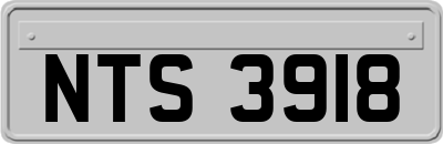 NTS3918