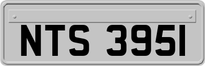 NTS3951