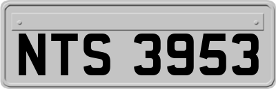 NTS3953