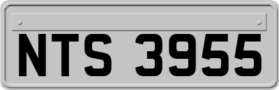 NTS3955