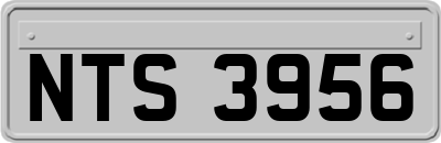 NTS3956