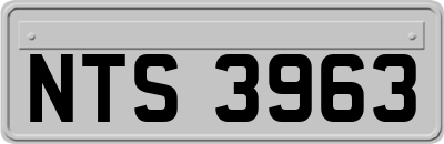 NTS3963