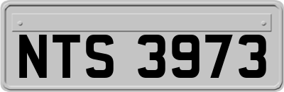 NTS3973