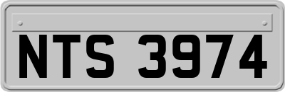 NTS3974