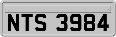 NTS3984