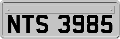 NTS3985