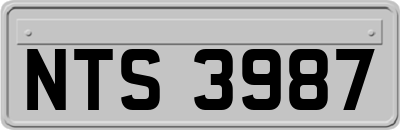 NTS3987