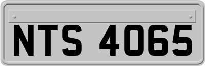 NTS4065
