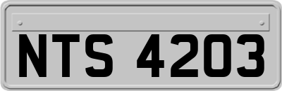 NTS4203