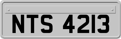 NTS4213