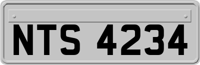 NTS4234