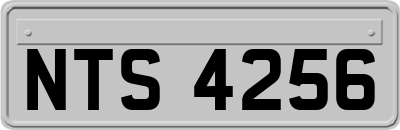 NTS4256