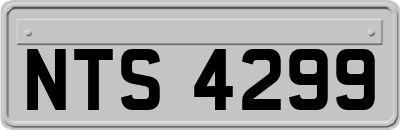 NTS4299