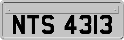 NTS4313