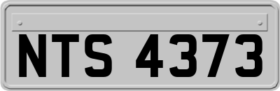 NTS4373