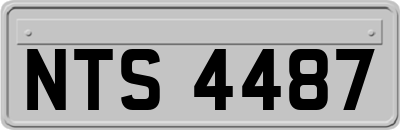 NTS4487