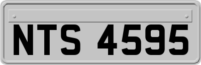 NTS4595