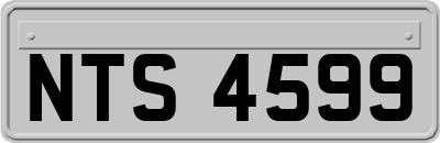 NTS4599