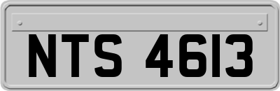NTS4613