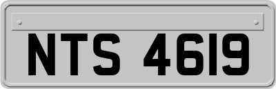 NTS4619