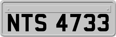 NTS4733