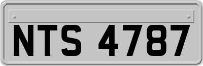 NTS4787