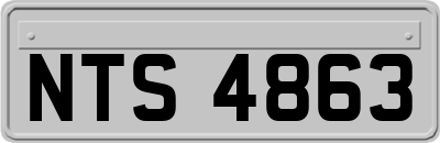 NTS4863