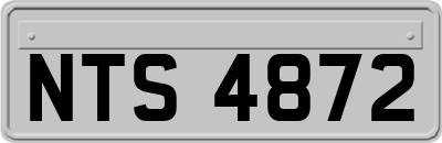NTS4872