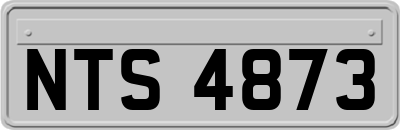 NTS4873