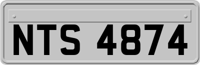 NTS4874