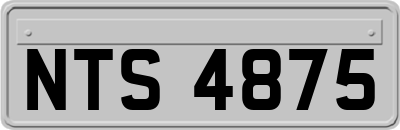 NTS4875