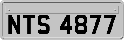 NTS4877