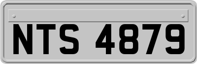 NTS4879